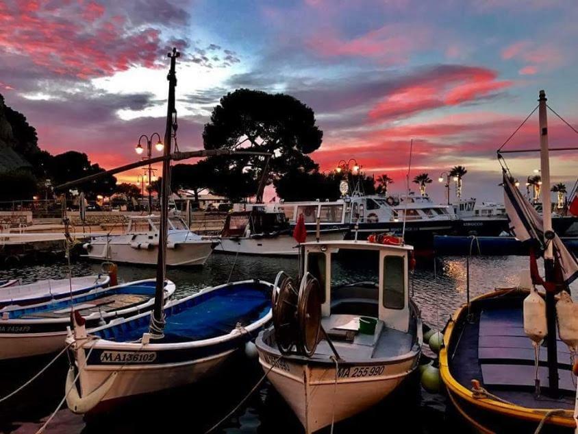 La Tourraque Lägenhet Antibes Exteriör bild
